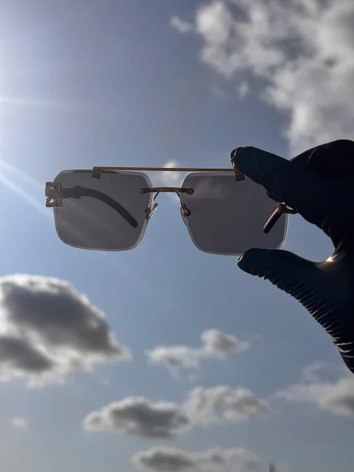 Imported Solar Cheetah Glasses